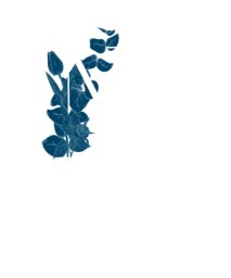 African way of saying my grace is from God.