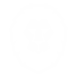 A lion represents a born leader, yet someone who is in complete balance and harmony with nature | Unisex Classic Jersey T-shirt | 155 g | 100% Combed Organic Cotton