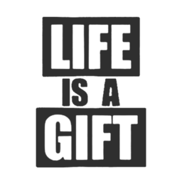 Live in the present and appreciate every moment | Unisex Classic Jersey T-shirt | 155 g | 100% Combed Organic Cotton