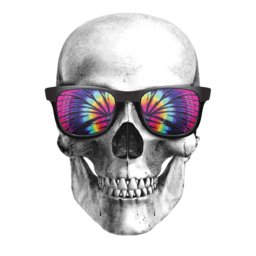 A cool skull putting on flashy spectacles,